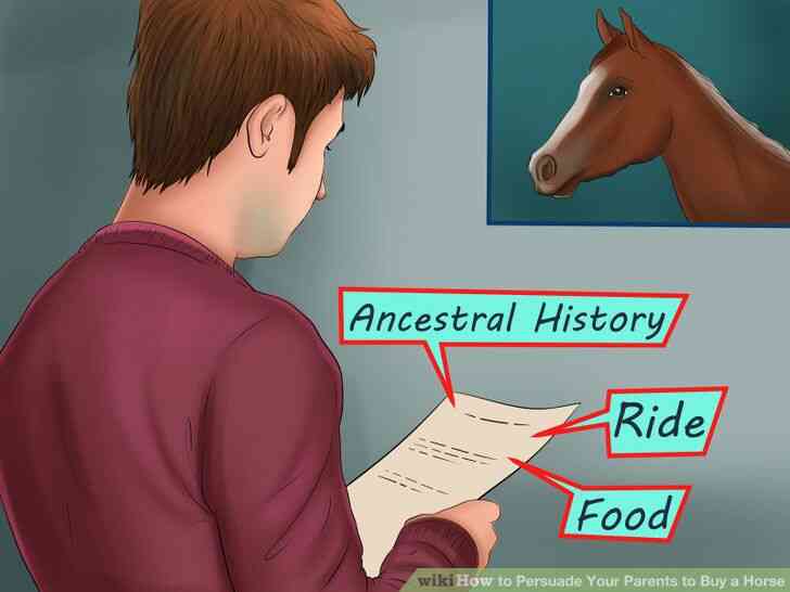 Image intitulée Convaincre Tes Parents d